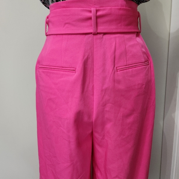 Ann Taylor Pink Wide-Leg High Rise Crop Ankle Pants 4 Petite - Picture 7 of 14